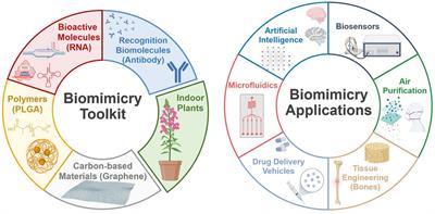 Editorial: The Dual-Use Dilemma for Biomimicry